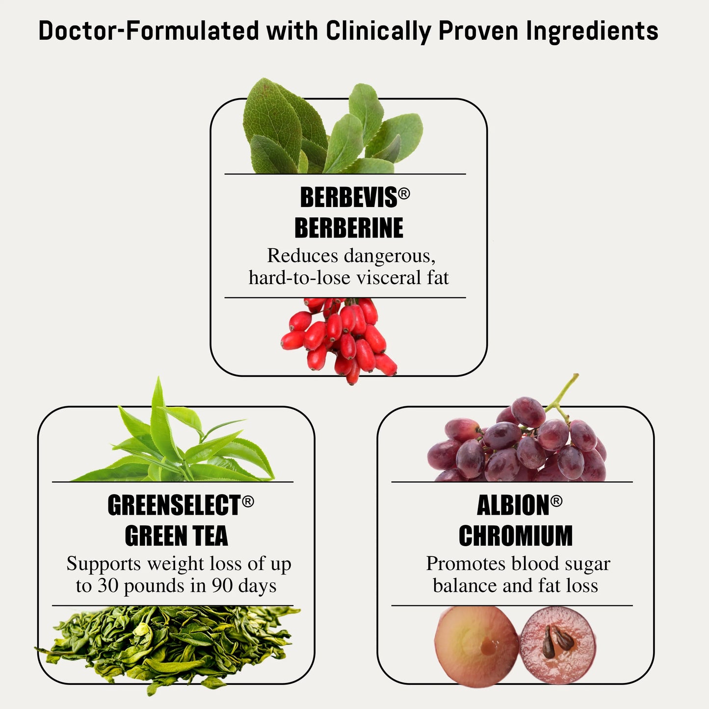 VYJOLO BERBERINE®